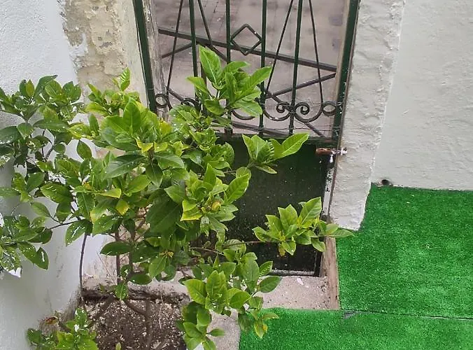 Celia Casa de Férias